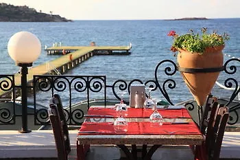 Club Cactus Fleur Hotel 4*