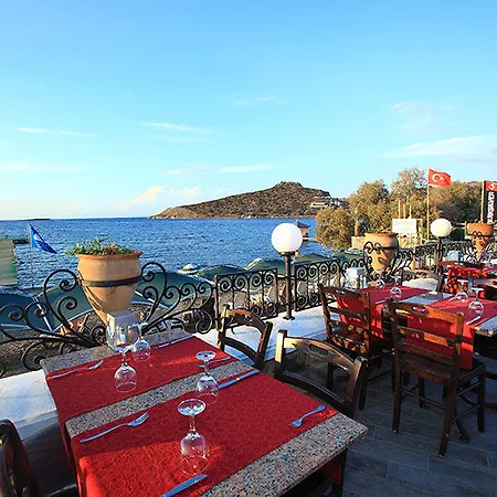 Otel Club Cactus Fleur 4*
